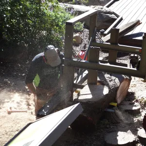 Trunk of former Cottage Oak (Coastal Live Oak) being milled into slabs by Ed Smith of Local Wood