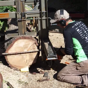 Trunk of former Cottage Oak (Coastal Live Oak) being milled into slabs by Ed Smith of Local Wood