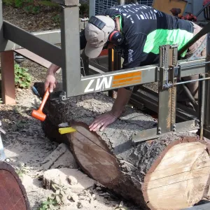Trunk of former Cottage Oak (Coastal Live Oak) being milled into slabs by Ed Smith of Local Wood