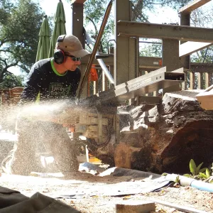 Trunk of former Cottage Oak (Coastal Live Oak) being milled into slabs by Ed Smith of Local Wood