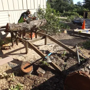 Trunk of former Cottage Oak (Coastal Live Oak) being milled into slabs by Ed Smith of Local Wood