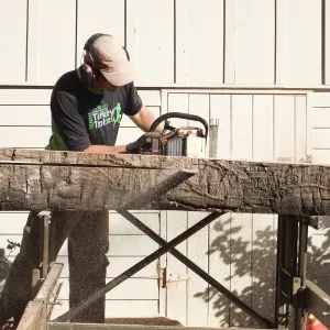 Trunk of former Cottage Oak (Coastal Live Oak) being milled into slabs by Ed Smith of Local Wood