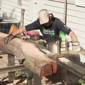 Trunk of former Cottage Oak (Coastal Live Oak) being milled into slabs by Ed Smith of Local Wood