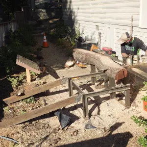Trunk of former Cottage Oak (Coastal Live Oak) being milled into slabs by Ed Smith of Local Wood
