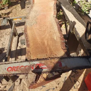 Trunk of former Cottage Oak (Coastal Live Oak) being milled into slabs by Ed Smith of Local Wood