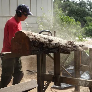 Trunk of former Cottage Oak (Coastal Live Oak) being milled into slabs by Ed Smith of Local Wood
