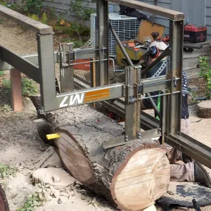 Trunk of former Cottage Oak being milled into slabs