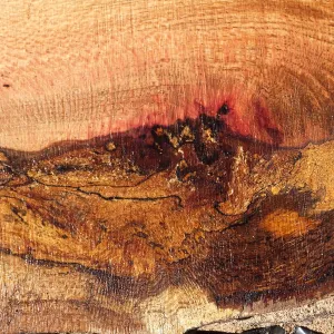 Trunk of former Cottage Oak being milled into slabs