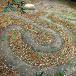 Centennial Maze