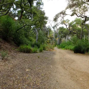 Canyon Trail