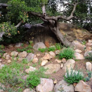 Canyon wall, Campbell Trail