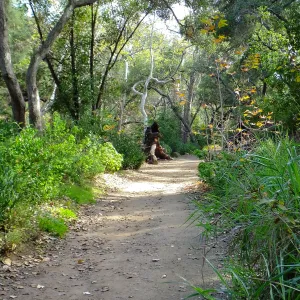 Canyon Trail