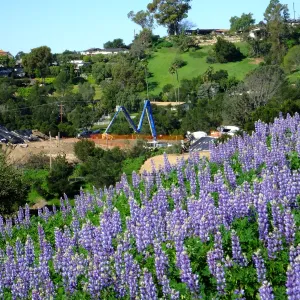 Pritzlaff Conservation Center construction work from Cavalli Ridge with lupines
