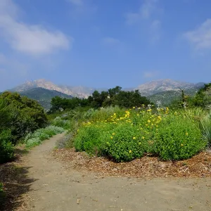 Porter Trail