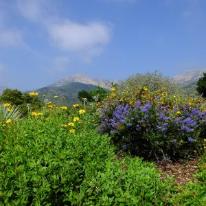 Porter Trail