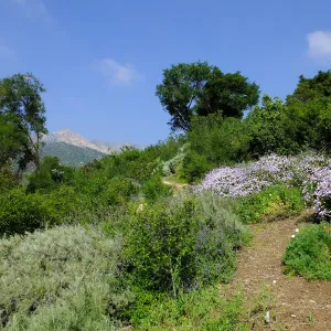 Porter Trail
