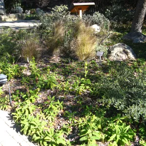 Home Demonstration Garden