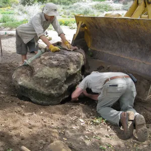Moving boulders for bed on north side of Meadow Oaks