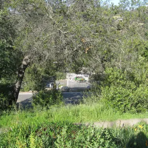 Looking over Mission Canyon Rd to the parking lot, from the Porter Trail