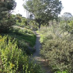 Porter Trail