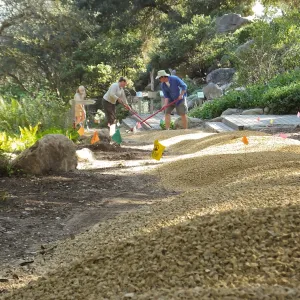 Arroyo Path Resurfacing after sewer installation
