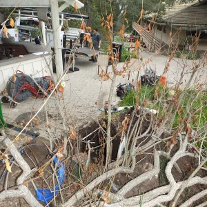Arroyo Sewer Construction