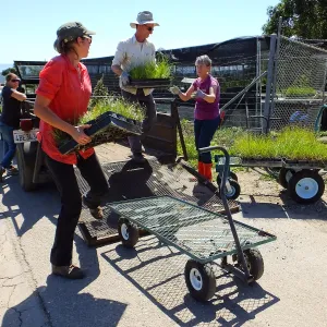 Spring Plant Sale 2015 plant delivery from Santa Barbara Natives
