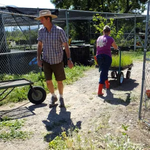 Spring Plant Sale 2015 plant delivery from Santa Barbara Natives