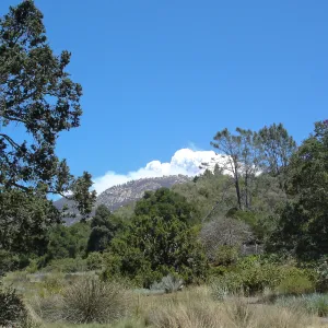 Smoke from the Zaca Fire