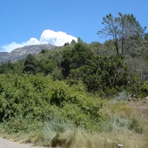 Smoke from the Zaca Fire