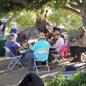 Members Picnic 2015, Glendessary Jam