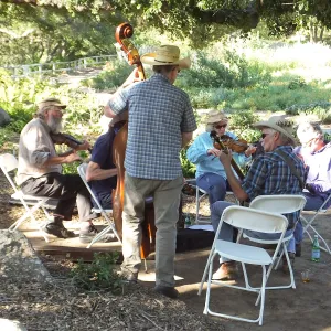 Members Picnic 2015, Glendessary Jam