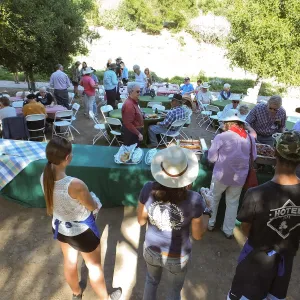 Members Picnic 2015