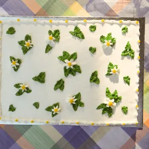 Members Picnic 2015 Cake