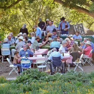Members Picnic 2015
