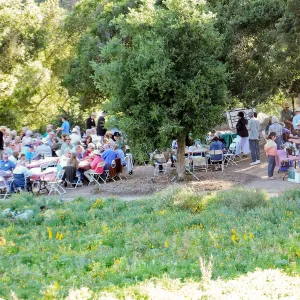 Members Picnic 2015