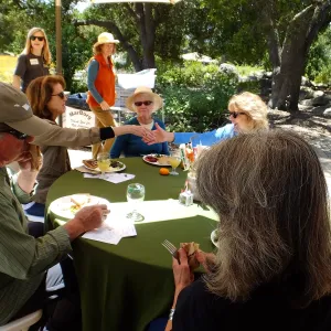 Volunteer Luncheon 2015