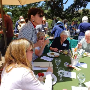Volunteer Luncheon 2015