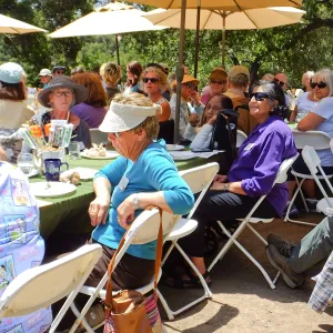 Volunteer Luncheon 2015