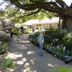 Spring Plant Sale 2015
