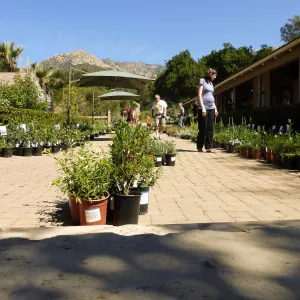 Spring Plant Sale 2015