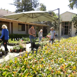 Spring Plant Sale 2015