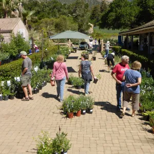 Spring Plant Sale 2015