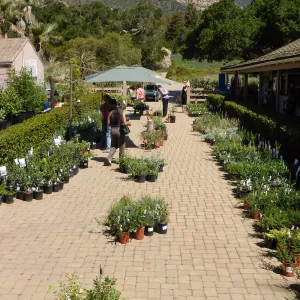 Spring Plant Sale 2015