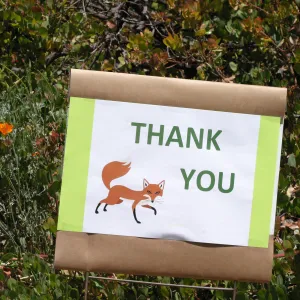 Volunteer Luncheon 2015