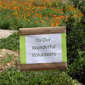 Volunteer Luncheon 2015