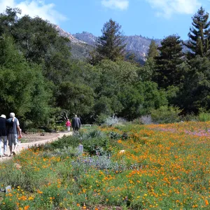 Seniors Free Day visitors at lower Meadow near Blaksley Boulder