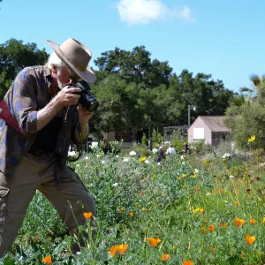Seniors Free Day visitors at upper Meadow