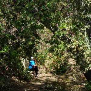 Seniors Free Day, visitor at Taylor Bench