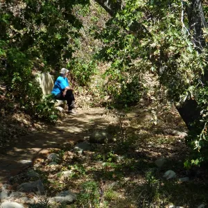 Seniors Free Day, visitor at Taylor Bench